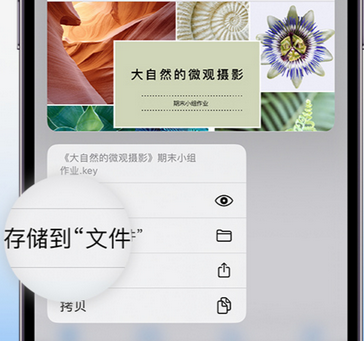 芝罘apple维修中心分享iPhone文件应用中存储和找到下载文件