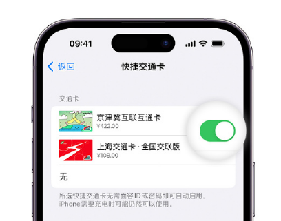 芝罘apple维修点分享iPhone上更换Apple Pay快捷交通卡手绘卡面 