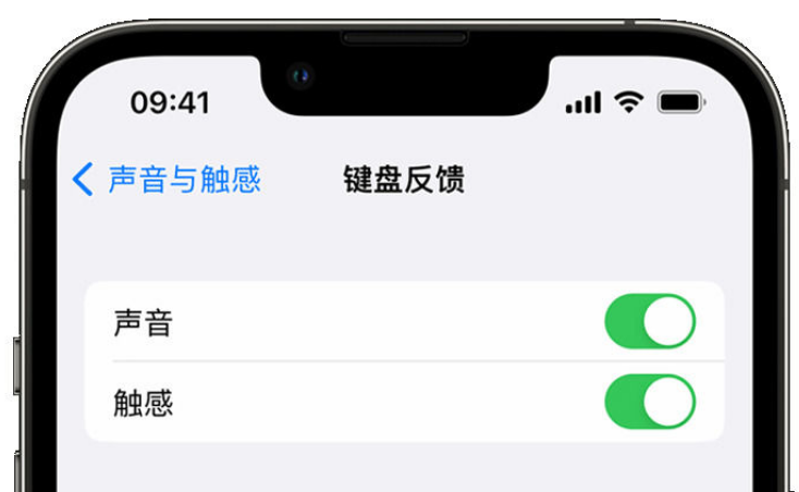 芝罘苹果手机维修分享iPhone 14触感键盘使用方法 