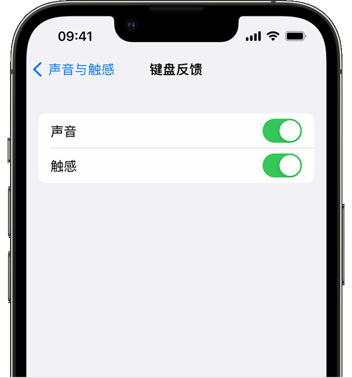 芝罘苹果14维修店分享如何在 iPhone 14 机型中使用触感键盘 