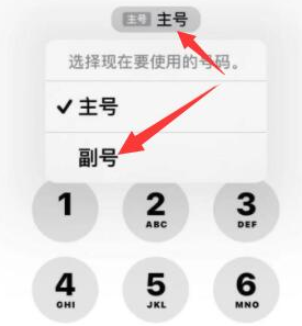 芝罘苹果14维修店分享iPhone 14 Pro Max使用副卡打电话的方法 